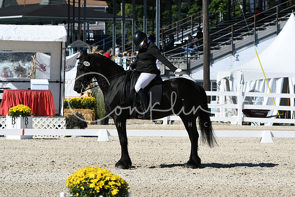 HSM_3568
