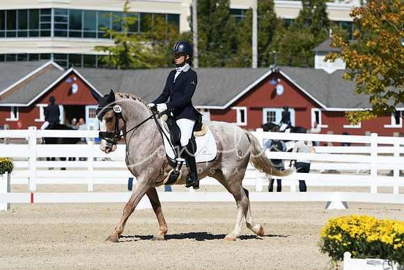 HSM_3008