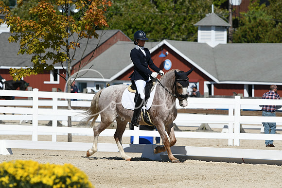 HSM_3022