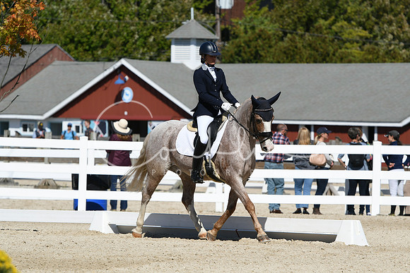 HSM_3024