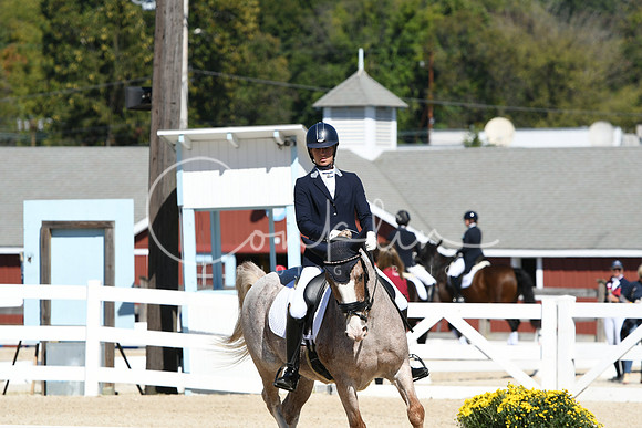 HSM_3026
