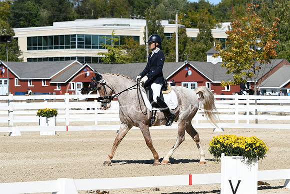 HSM_3027