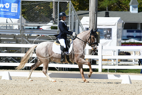 HSM_3046