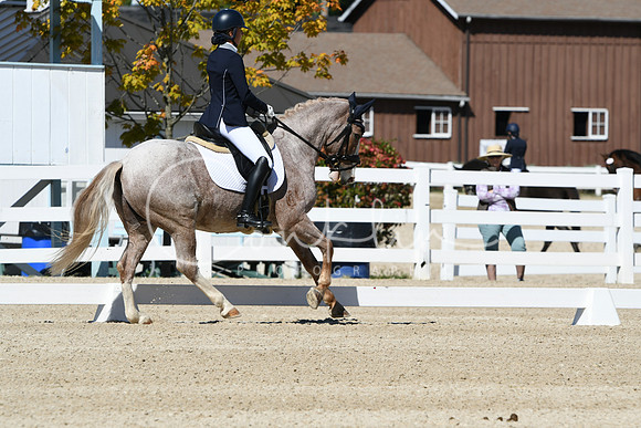 HSM_3049