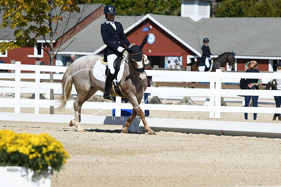 HSM_3057