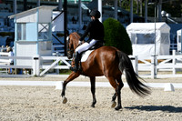 HSM_3672