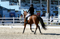 HSM_3675