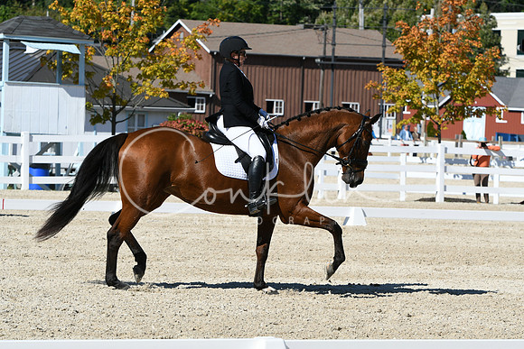 HSM_3678