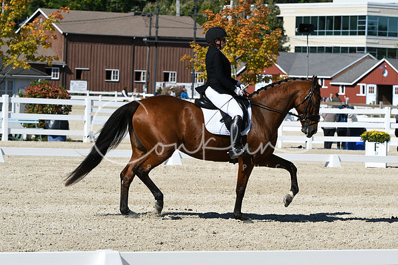 HSM_3681