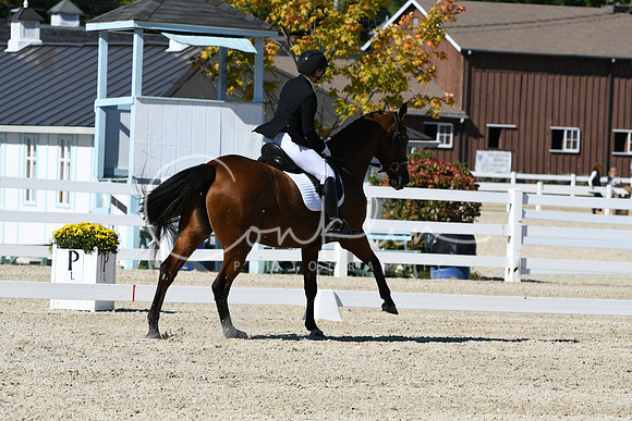HSM_3702