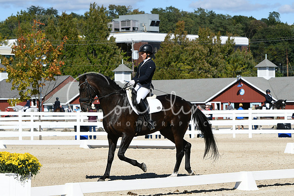 HSM_3083