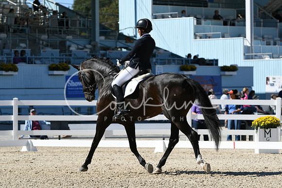 HSM_3079