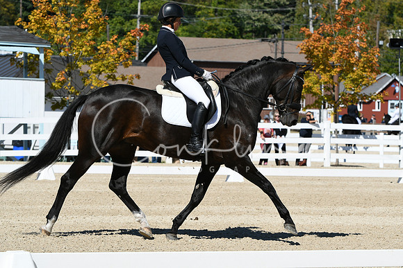 HSM_3099