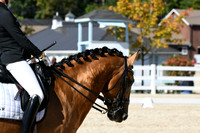 HSM_3717