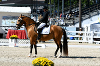 HSM_3722