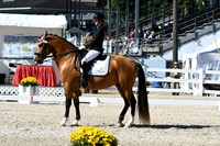 HSM_3723