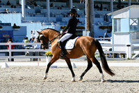 HSM_3727