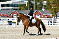 HSM_3730