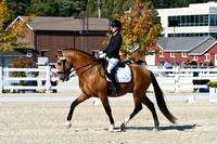HSM_3731