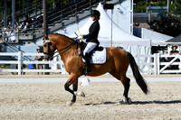 HSM_3735