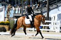 HSM_3737