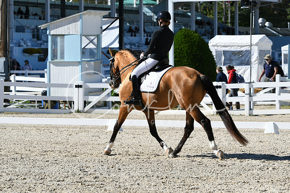HSM_3741