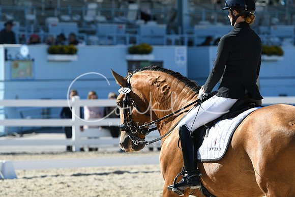HSM_3759