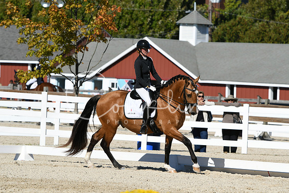 HSM_3767