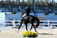 HSM_3235