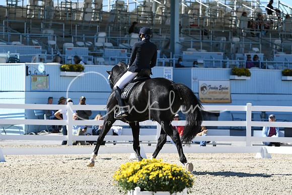 HSM_3235