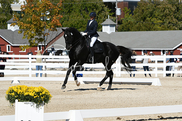 HSM_3253