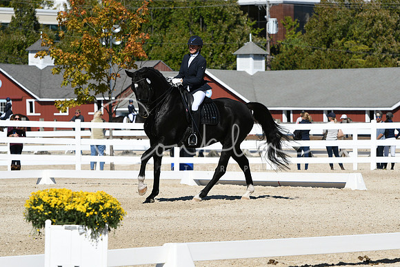 HSM_3254