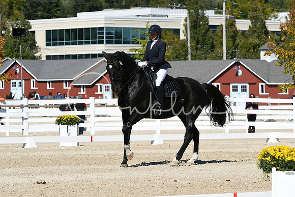 HSM_3255