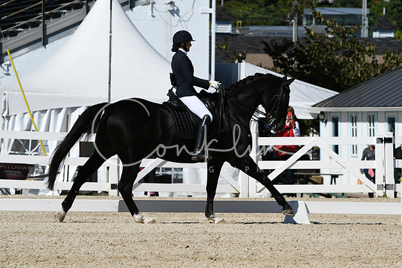 HSM_3261