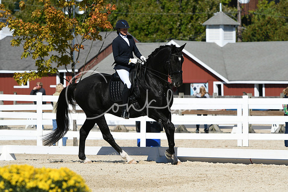 HSM_3262