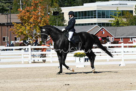 HSM_3269