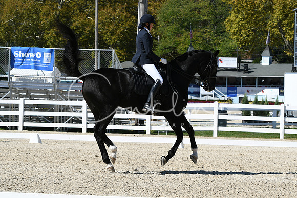 HSM_3272