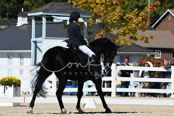 HSM_3277