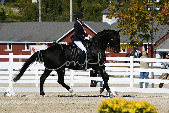 HSM_3278