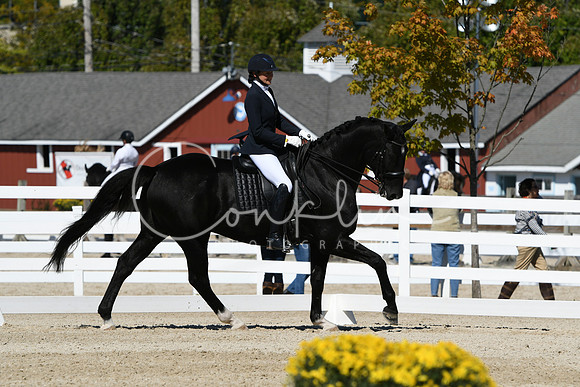 HSM_3279
