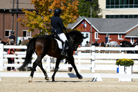 HSM_3147
