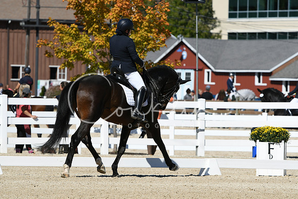 HSM_3147