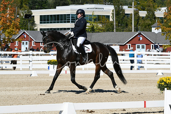 HSM_3151