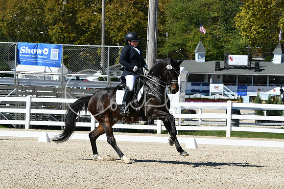 HSM_3166