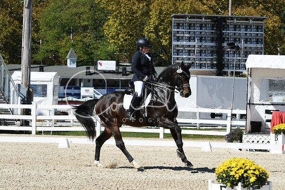 HSM_3169