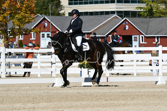 HSM_3173