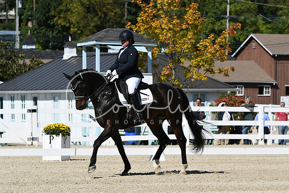 HSM_3174