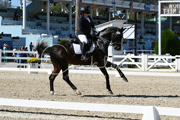 HSM_3195