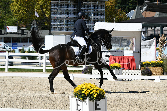HSM_3197