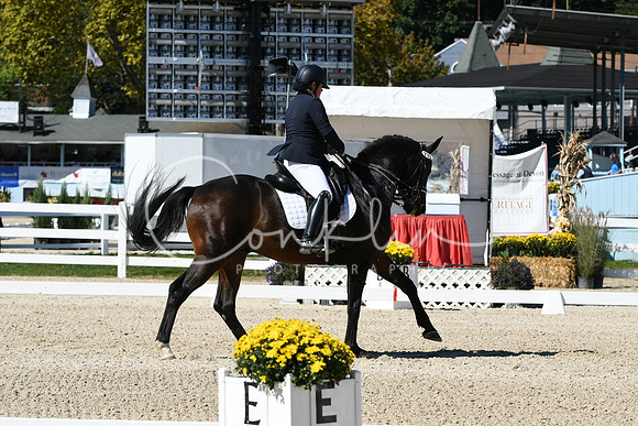 HSM_3198